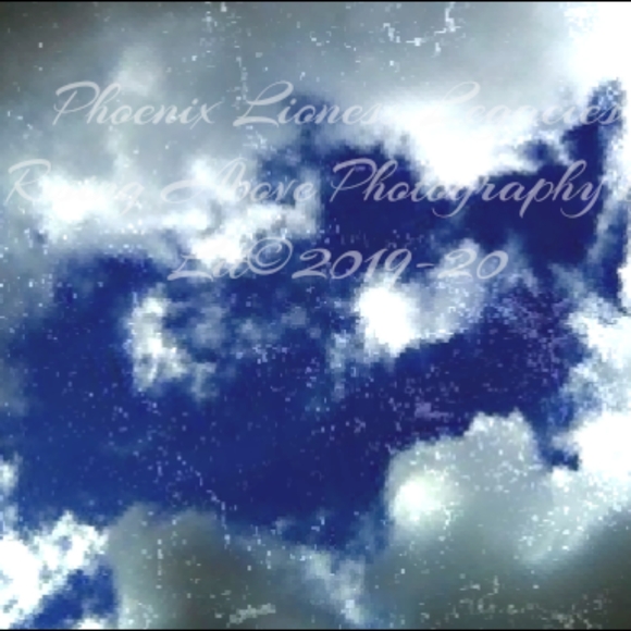 Not 4 Sale - Picture 11 of 16